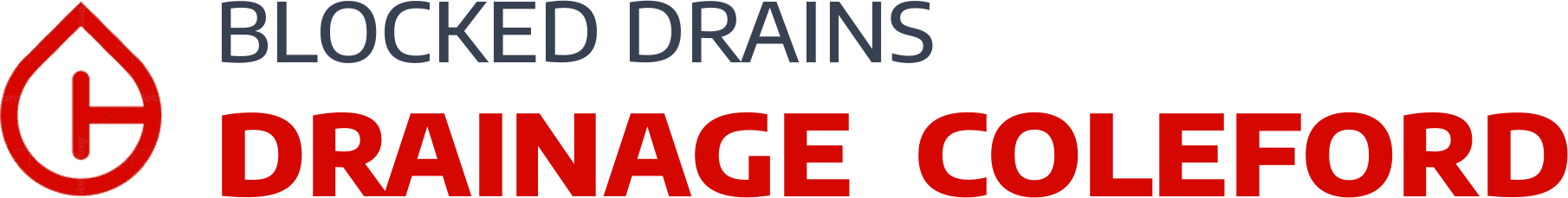 website logo